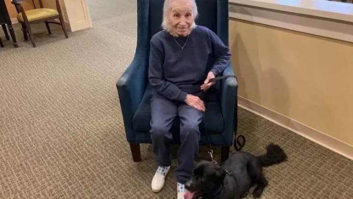 Porter Place Memory Care Resident Asks for Animal Shelter Donations in Lieu of Birthday Gifts