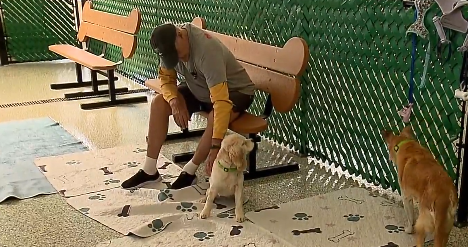 Highline Place Memory Care residents visit local Senior Dog Sanctuary